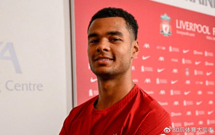 这使得他们 这使得他们