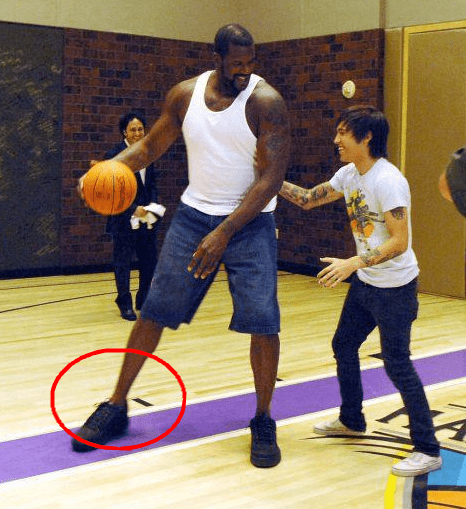 入围赛对阵 入围赛对阵